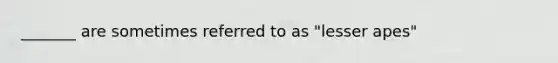 _______ are sometimes referred to as "lesser apes"