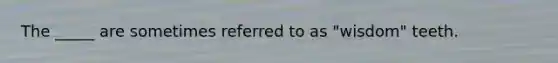 The _____ are sometimes referred to as "wisdom" teeth.