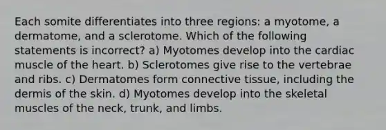 Each somite differentiates into three regions: a myotome, a dermatome, and a sclerotome. Which of the following statements is incorrect? a) Myotomes develop into the cardiac muscle of the heart. b) Sclerotomes give rise to the vertebrae and ribs. c) Dermatomes form connective tissue, including the dermis of the skin. d) Myotomes develop into the skeletal muscles of the neck, trunk, and limbs.