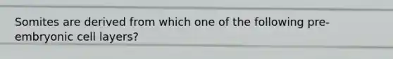 Somites are derived from which one of the following pre-embryonic cell layers?