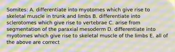 Somites: A. differentiate into myotomes which give rise to skeletal muscle in trunk and limbs B. differentiate into sclerotomes which give rise to vertebrae C. arise from segmentation of the paraxial mesoderm D. differentiate into myotomes which give rise to skeletal muscle of the limbs E. all of the above are correct