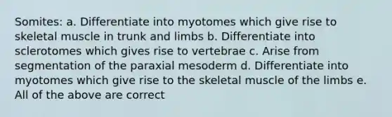 Somites: a. Differentiate into myotomes which give rise to skeletal muscle in trunk and limbs b. Differentiate into sclerotomes which gives rise to vertebrae c. Arise from segmentation of the paraxial mesoderm d. Differentiate into myotomes which give rise to the skeletal muscle of the limbs e. All of the above are correct