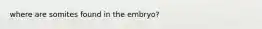 where are somites found in the embryo?