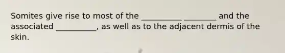 Somites give rise to most of the __________ ________ and the associated __________, as well as to the adjacent dermis of the skin.