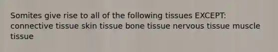 Somites give rise to all of the following tissues EXCEPT: connective tissue skin tissue bone tissue nervous tissue muscle tissue