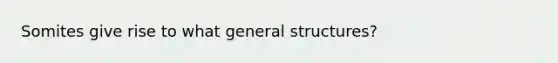 Somites give rise to what general structures?