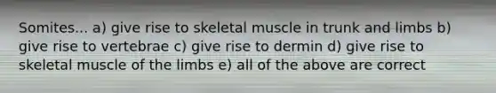 Somites... a) give rise to skeletal muscle in trunk and limbs b) give rise to vertebrae c) give rise to dermin d) give rise to skeletal muscle of the limbs e) all of the above are correct