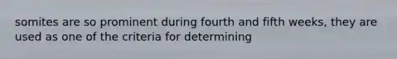 somites are so prominent during fourth and fifth weeks, they are used as one of the criteria for determining