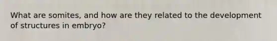 What are somites, and how are they related to the development of structures in embryo?
