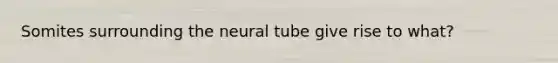 Somites surrounding the neural tube give rise to what?