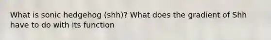 What is sonic hedgehog (shh)? What does the gradient of Shh have to do with its function