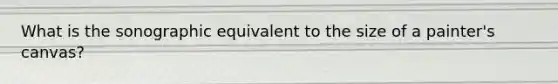 What is the sonographic equivalent to the size of a painter's canvas?