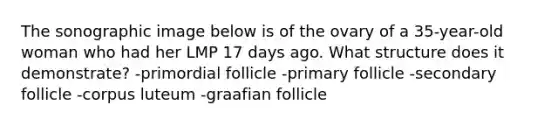 The sonographic image below is of the ovary of a 35-year-old woman who had her LMP 17 days ago. What structure does it demonstrate? -primordial follicle -primary follicle -secondary follicle -corpus luteum -graafian follicle
