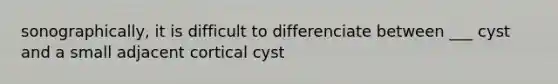 sonographically, it is difficult to differenciate between ___ cyst and a small adjacent cortical cyst