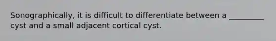 Sonographically, it is difficult to differentiate between a _________ cyst and a small adjacent cortical cyst.