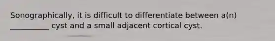 Sonographically, it is difficult to differentiate between a(n) __________ cyst and a small adjacent cortical cyst.