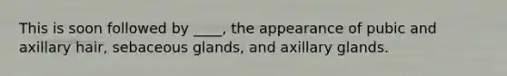 This is soon followed by ____, the appearance of pubic and axillary hair, sebaceous glands, and axillary glands.