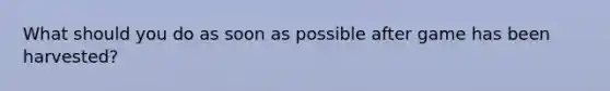 What should you do as soon as possible after game has been harvested?