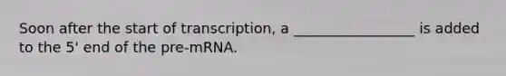 Soon after the start of transcription, a _________________ is added to the 5' end of the pre-mRNA.