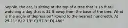 Sophie, the cat, is sitting at the top of a tree that is 15 ft tall watching a dog that is 32 ft away from the base of the tree. What is the angle of depression? Round to the nearest hundredth. A) 25.11° B) 2.13° C) 57.3° D) 480°