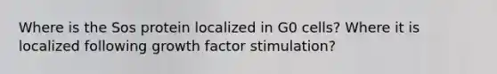 Where is the Sos protein localized in G0 cells? Where it is localized following growth factor stimulation?