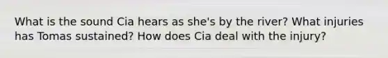 What is the sound Cia hears as she's by the river? What injuries has Tomas sustained? How does Cia deal with the injury?