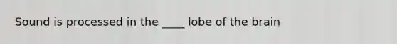 Sound is processed in the ____ lobe of the brain