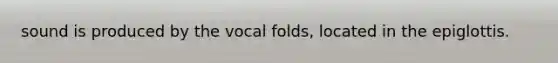 sound is produced by the vocal folds, located in the epiglottis.