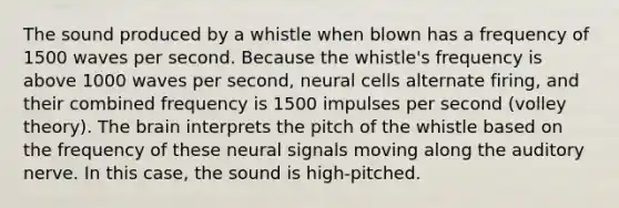 The sound produced by a whistle when blown has a frequency of 1500 waves per second. Because the whistle's frequency is above 1000 waves per second, neural cells alternate firing, and their combined frequency is 1500 impulses per second (volley theory). The brain interprets the pitch of the whistle based on the frequency of these neural signals moving along the auditory nerve. In this case, the sound is high-pitched.