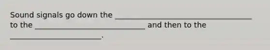 Sound signals go down the ____________________________________ to the _____________________________ and then to the ________________________.