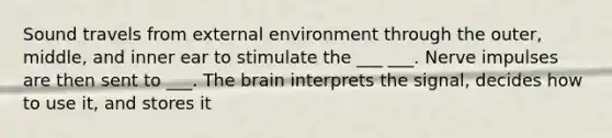 Sound travels from external environment through the outer, middle, and inner ear to stimulate the ___ ___. Nerve impulses are then sent to ___. The brain interprets the signal, decides how to use it, and stores it