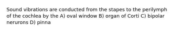 Sound vibrations are conducted from the stapes to the perilymph of the cochlea by the A) oval window B) organ of Corti C) bipolar nerurons D) pinna