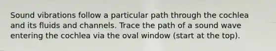 Sound vibrations follow a particular path through the cochlea and its fluids and channels. Trace the path of a sound wave entering the cochlea via the oval window (start at the top).