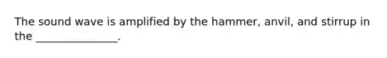 The sound wave is amplified by the hammer, anvil, and stirrup in the _______________.