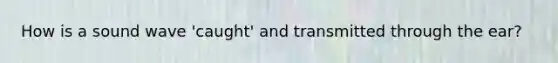 How is a sound wave 'caught' and transmitted through the ear?