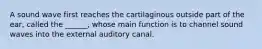 A sound wave first reaches the cartilaginous outside part of the ear, called the ______, whose main function is to channel sound waves into the external auditory canal.