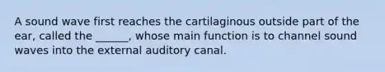 A sound wave first reaches the cartilaginous outside part of the ear, called the ______, whose main function is to channel sound waves into the external auditory canal.