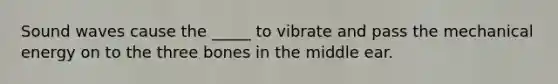 Sound waves cause the _____ to vibrate and pass the mechanical energy on to the three bones in the middle ear.