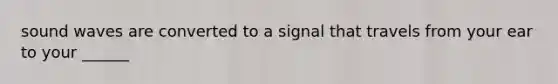 sound waves are converted to a signal that travels from your ear to your ______