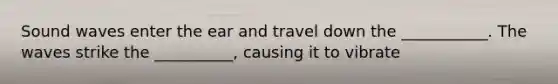 Sound waves enter the ear and travel down the ___________. The waves strike the __________, causing it to vibrate
