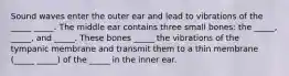 Sound waves enter the outer ear and lead to vibrations of the _____ _____. The middle ear contains three small bones: the _____, _____, and _____. These bones _____ the vibrations of the tympanic membrane and transmit them to a thin membrane (_____ _____) of the _____ in the inner ear.