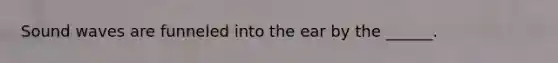 Sound waves are funneled into the ear by the ______.