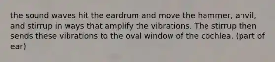 the sound waves hit the eardrum and move the hammer, anvil, and stirrup in ways that amplify the vibrations. The stirrup then sends these vibrations to the oval window of the cochlea. (part of ear)