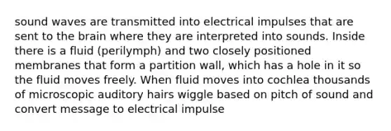 sound waves are transmitted into electrical impulses that are sent to the brain where they are interpreted into sounds. Inside there is a fluid (perilymph) and two closely positioned membranes that form a partition wall, which has a hole in it so the fluid moves freely. When fluid moves into cochlea thousands of microscopic auditory hairs wiggle based on pitch of sound and convert message to electrical impulse