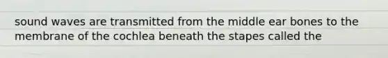 sound waves are transmitted from the middle ear bones to the membrane of the cochlea beneath the stapes called the