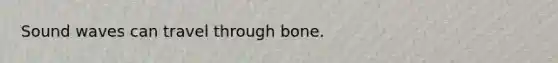 Sound waves can travel through bone.