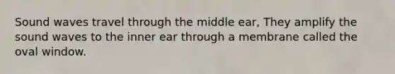 Sound waves travel through the middle ear, They amplify the sound waves to the inner ear through a membrane called the oval window.