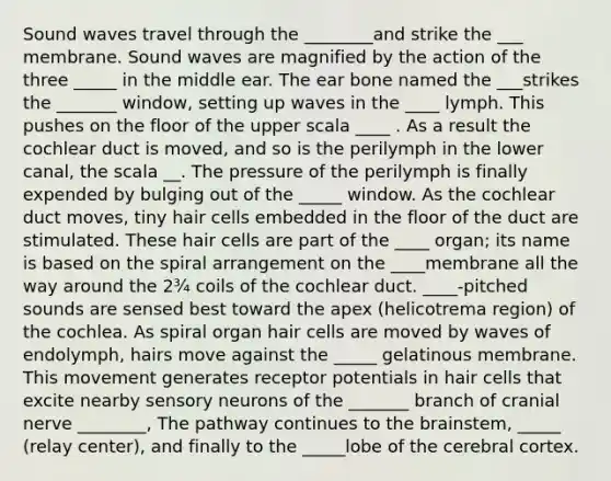 Sound waves travel through the ________and strike the ___ membrane. Sound waves are magnified by the action of the three _____ in the middle ear. The ear bone named the ___strikes the _______ window, setting up waves in the ____ lymph. This pushes on the floor of the upper scala ____ . As a result the cochlear duct is moved, and so is the perilymph in the lower canal, the scala __. The pressure of the perilymph is finally expended by bulging out of the _____ window. As the cochlear duct moves, tiny hair cells embedded in the floor of the duct are stimulated. These hair cells are part of the ____ organ; its name is based on the spiral arrangement on the ____membrane all the way around the 2¾ coils of the cochlear duct. ____-pitched sounds are sensed best toward the apex (helicotrema region) of the cochlea. As spiral organ hair cells are moved by waves of endolymph, hairs move against the _____ gelatinous membrane. This movement generates receptor potentials in hair cells that excite nearby sensory neurons of the _______ branch of cranial nerve ________, The pathway continues to <a href='https://www.questionai.com/knowledge/kLMtJeqKp6-the-brain' class='anchor-knowledge'>the brain</a>stem, _____ (relay center), and finally to the _____lobe of the cerebral cortex.