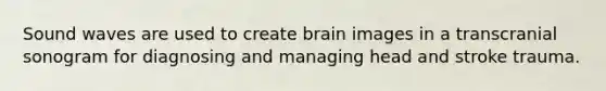 Sound waves are used to create brain images in a transcranial sonogram for diagnosing and managing head and stroke trauma.