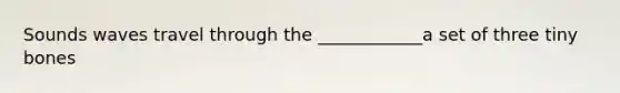 Sounds waves travel through the ____________a set of three tiny bones